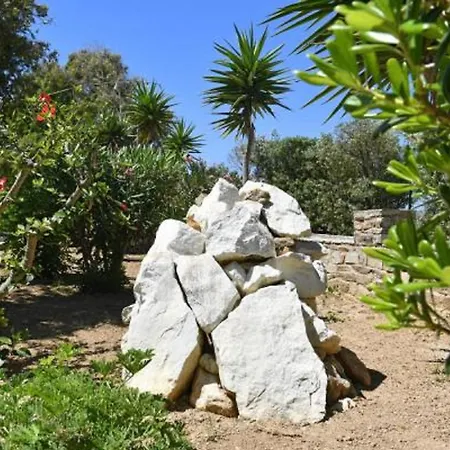 サーフィン ビーチ ビレッジ パロス