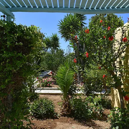 サーフィン ビーチ ビレッジ パロス ホテル 3*