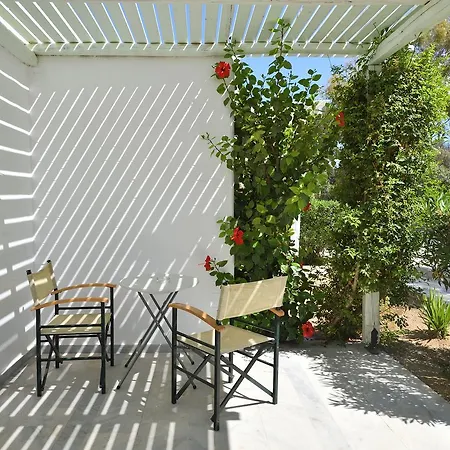 サーフィン ビーチ ビレッジ パロス