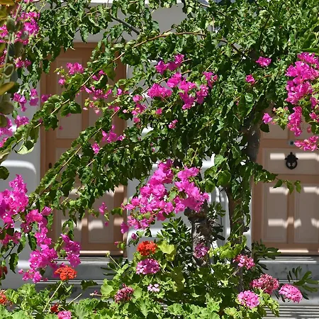 サーフィン ビーチ ビレッジ パロス 3* パロス島