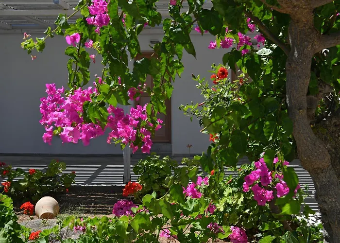 帕罗村冲浪海滩 3*