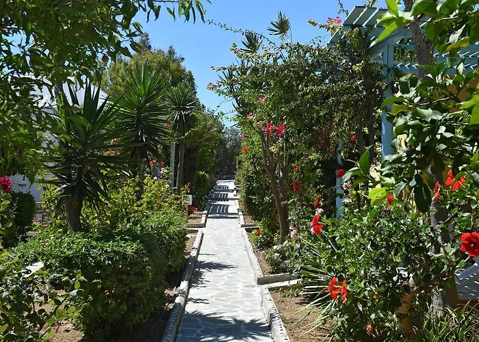 Hotel Surfing Village Paros