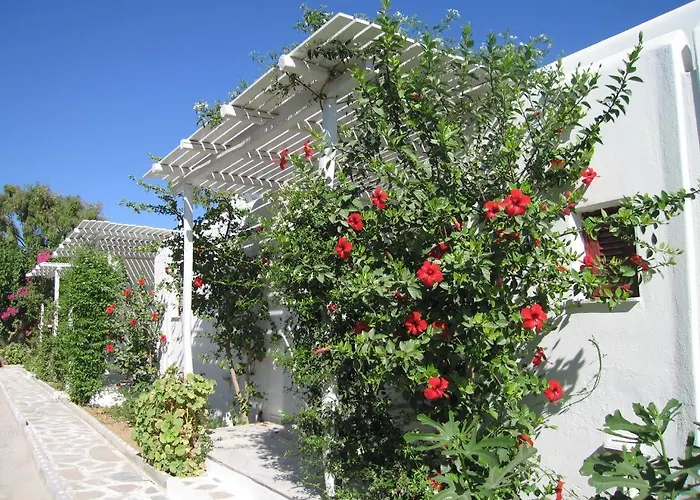 Hotel Surfing Village Paros Santa Maria (Paros)