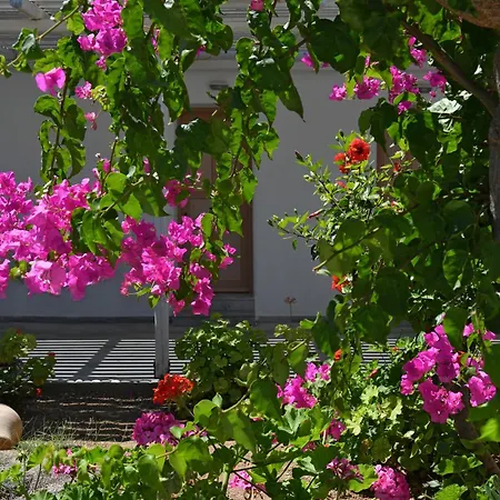 Surfing Village Paros 3*