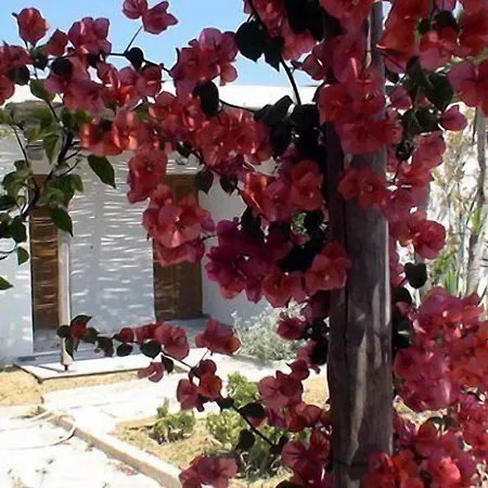 Surfing Village Paros Hotel Páros