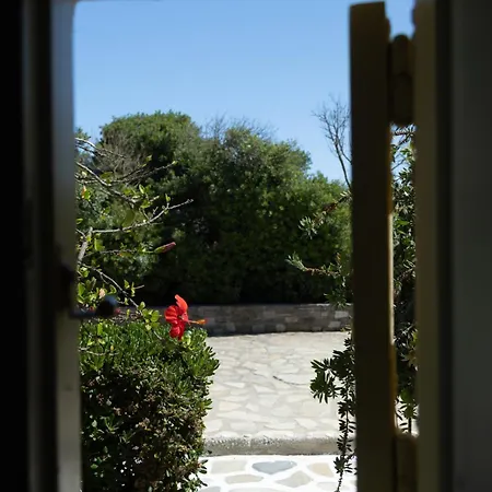 Surfing Village Paros Santa Maria (Paros)