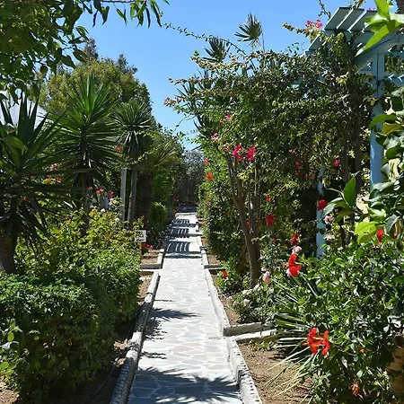Отель Surfing Village Paros