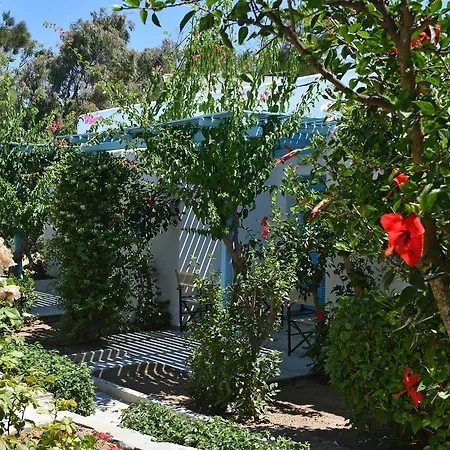 Surfing Village Paros Санта-Мария