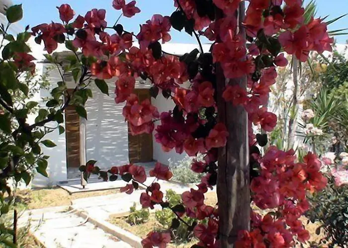 Surfing Village Paros Otel Santa Maria (Paros)