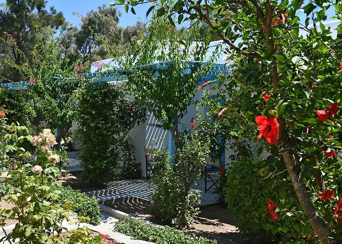 Surfing Village Paros Santa Maria (Paros)