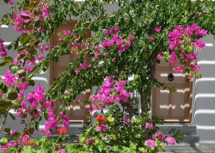 Surfing Village Paros 3* Santa Maria (Paros)